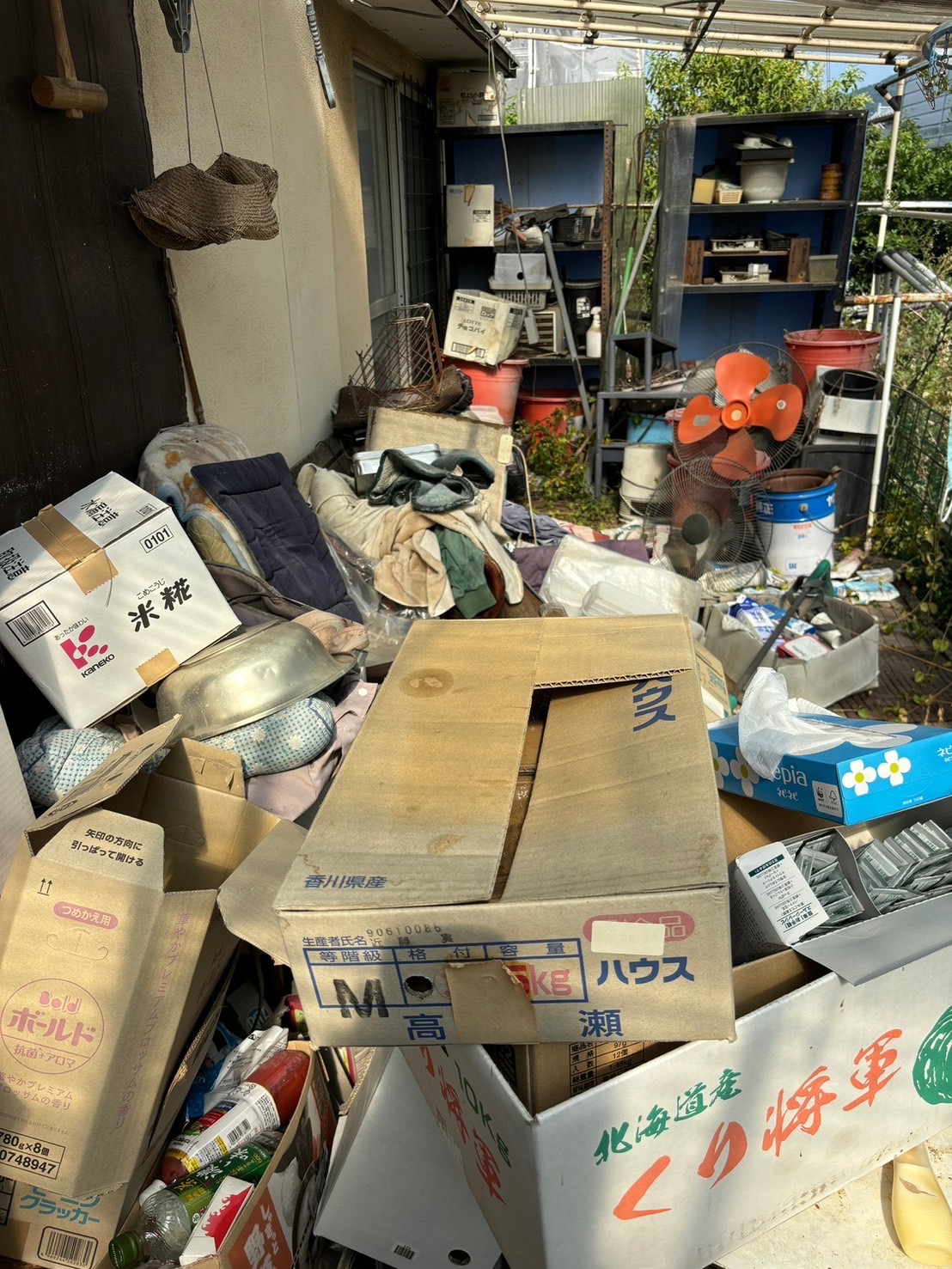 ゴミ屋敷片付け前