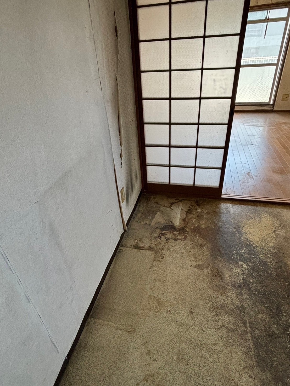 ゴミ屋敷片付け後
